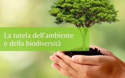 La tutela dell’ambiente e della biodiversità.