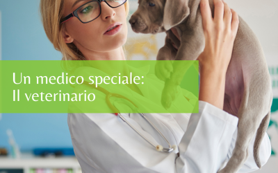 Un medico speciale: il veterinario